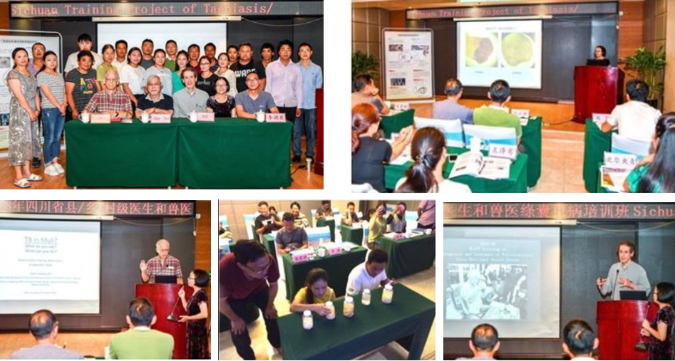 Photo montage of trainers and trainees during the project